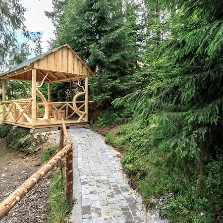 Adrenalin Hotel Dragobrat